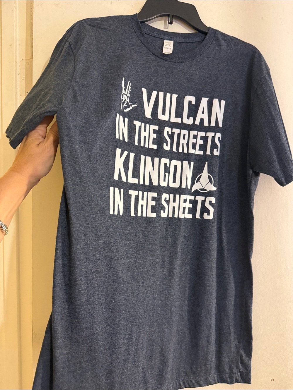 Men's Dark Grey 
 Graphic Short-Sleeve Tee - Vulcan/Klingon Slogan